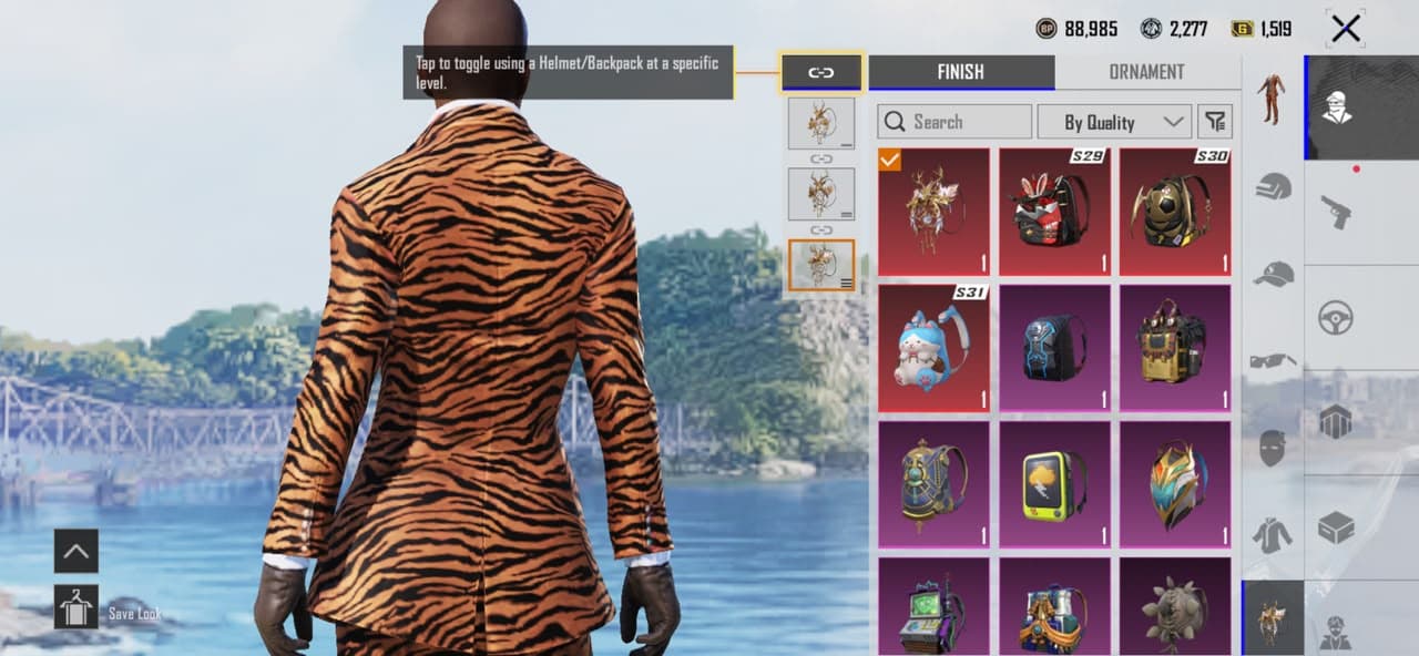 Thumbnail 17
