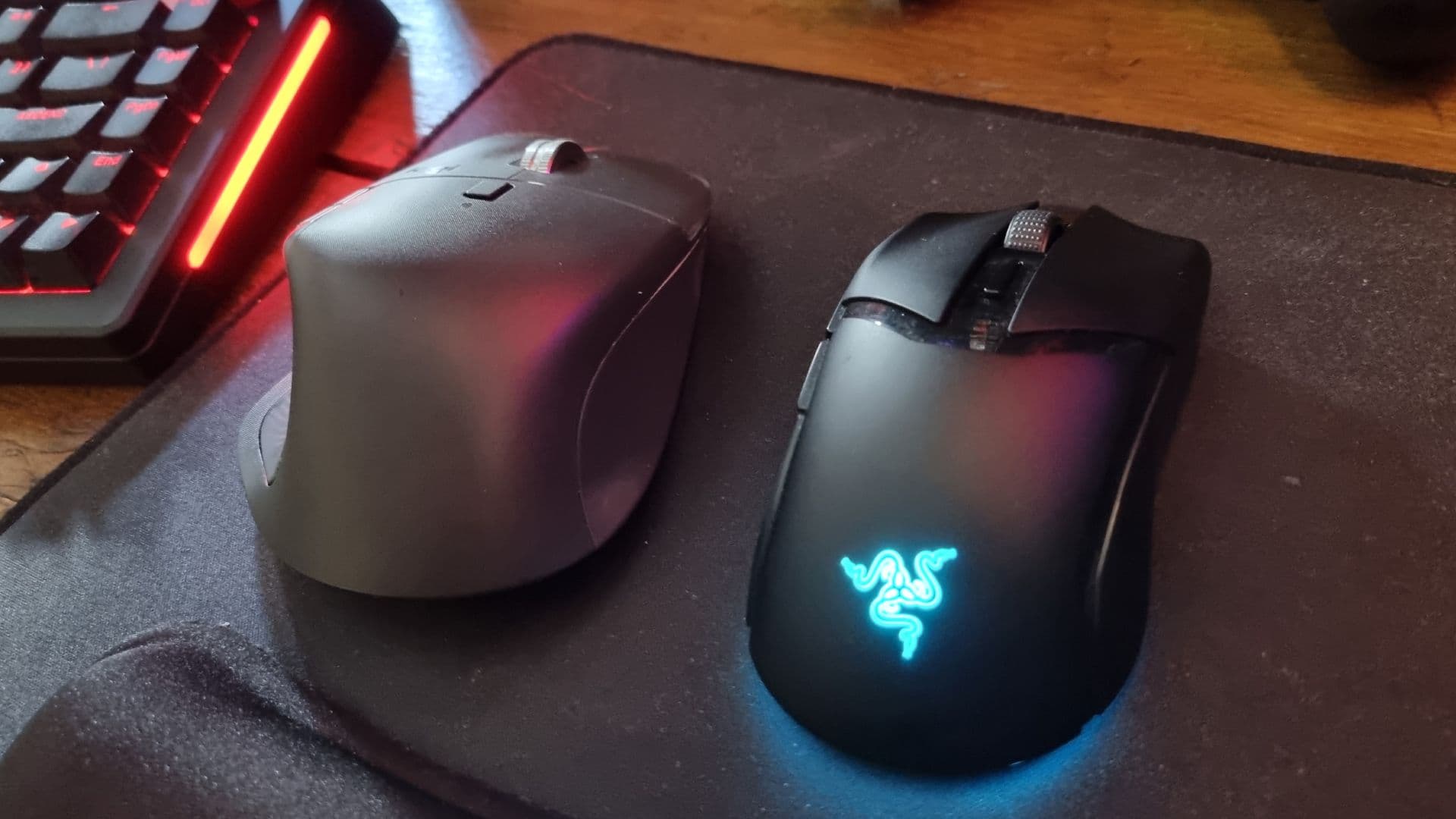 Two Mice Ergonomic Vs Gaming Choices [2026 Update]