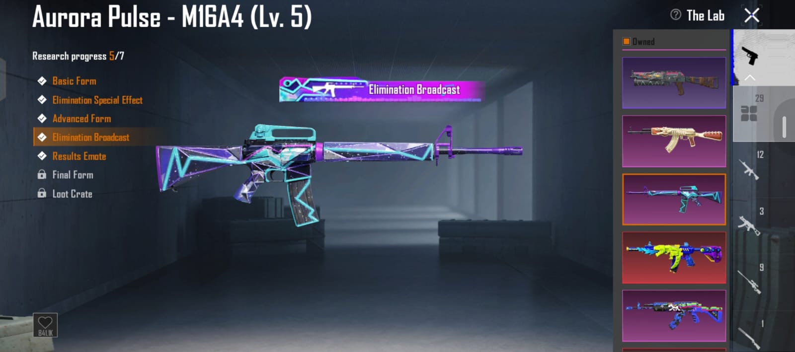 Thumbnail 43